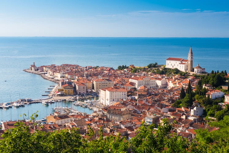 Piran day trip and vintage car ride with oil and wine tasting