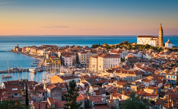 Piran day trip and vintage car ride with oil and wine tasting