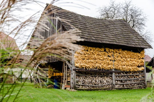 Land of Hayrack and open-air museum day trip from Ljubljana