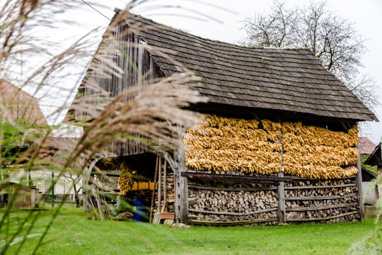 Terra de Hayrack e viagem de um dia para museu ao ar livre saindo de Liubliana