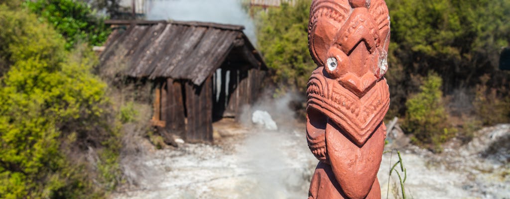 Destaques de Rotorua incluindo Te Puia - excursão para pequenos grupos saindo de Auckland