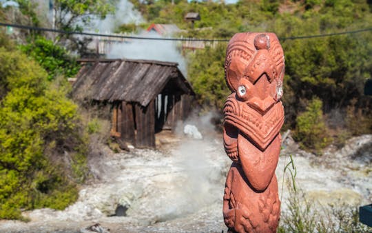 Hoogtepunten van Rotorua, waaronder Te Puia - tour met kleine groepen vanuit Auckland