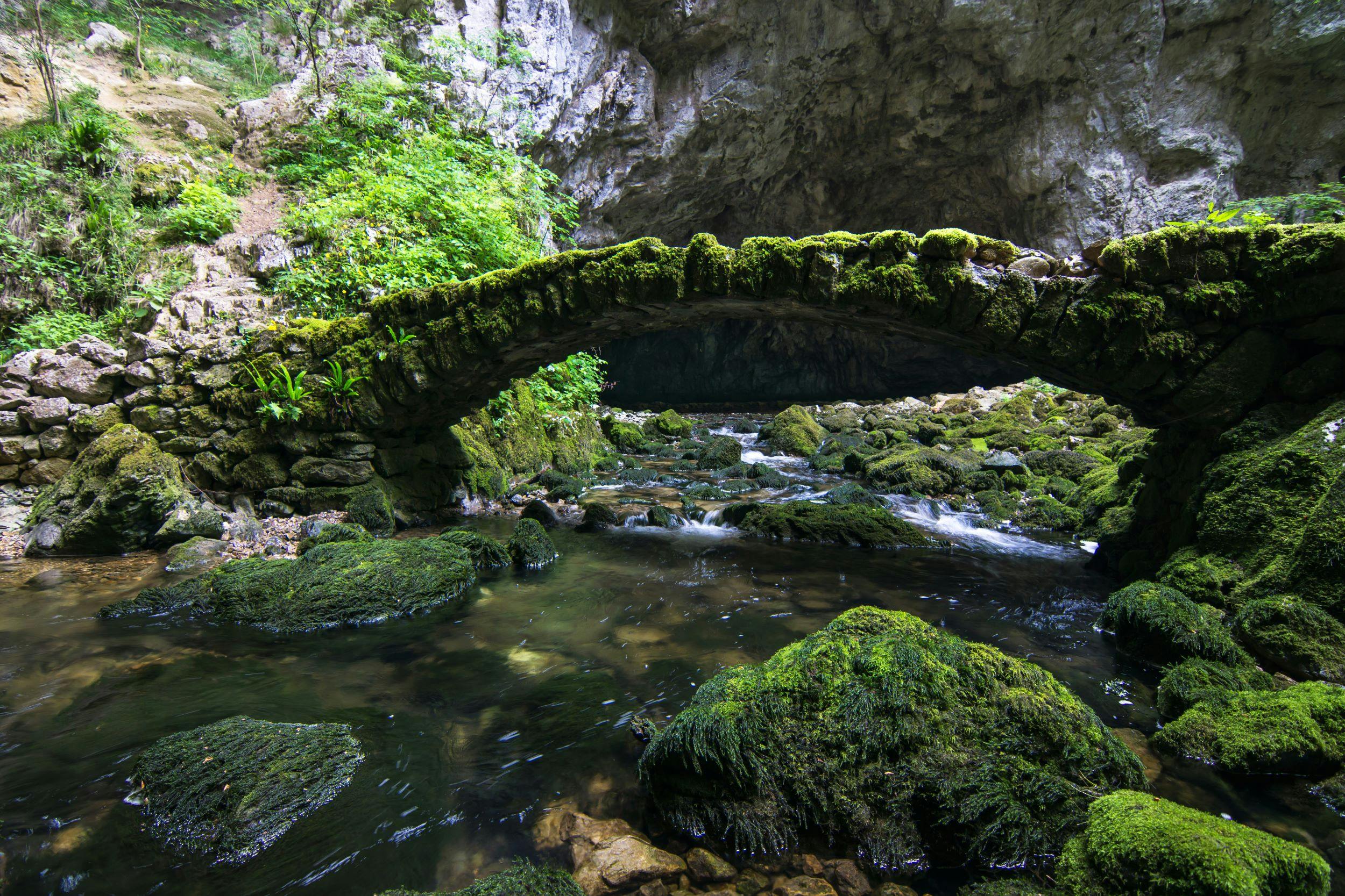 Der Eingang der slowenischen Höhlen Kras und Škocjan aus Bled