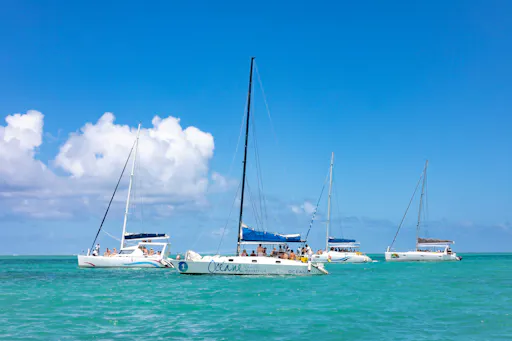 Catalina Island Catamaran Cruise