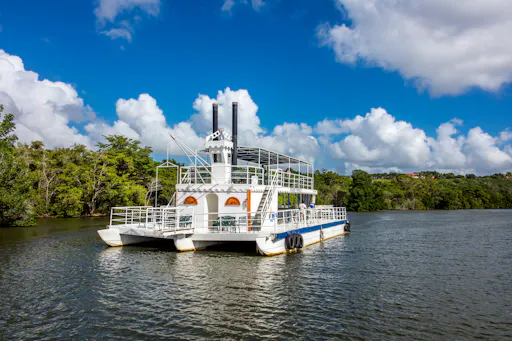 Catalina Island Catamaran Cruise