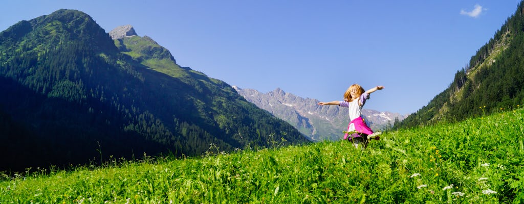 Tour privato di un giorno intero di Sound of Music a Salisburgo con sentiero escursionistico