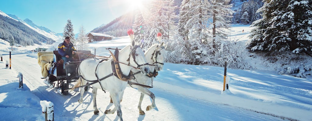 Tour privado de meio dia nos Alpes com um passeio de trenó puxado por cavalos saindo de Salzburgo