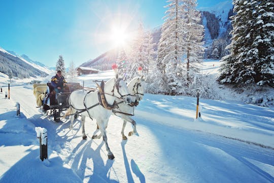 Tour privado de meio dia nos Alpes com um passeio de trenó puxado por cavalos saindo de Salzburgo