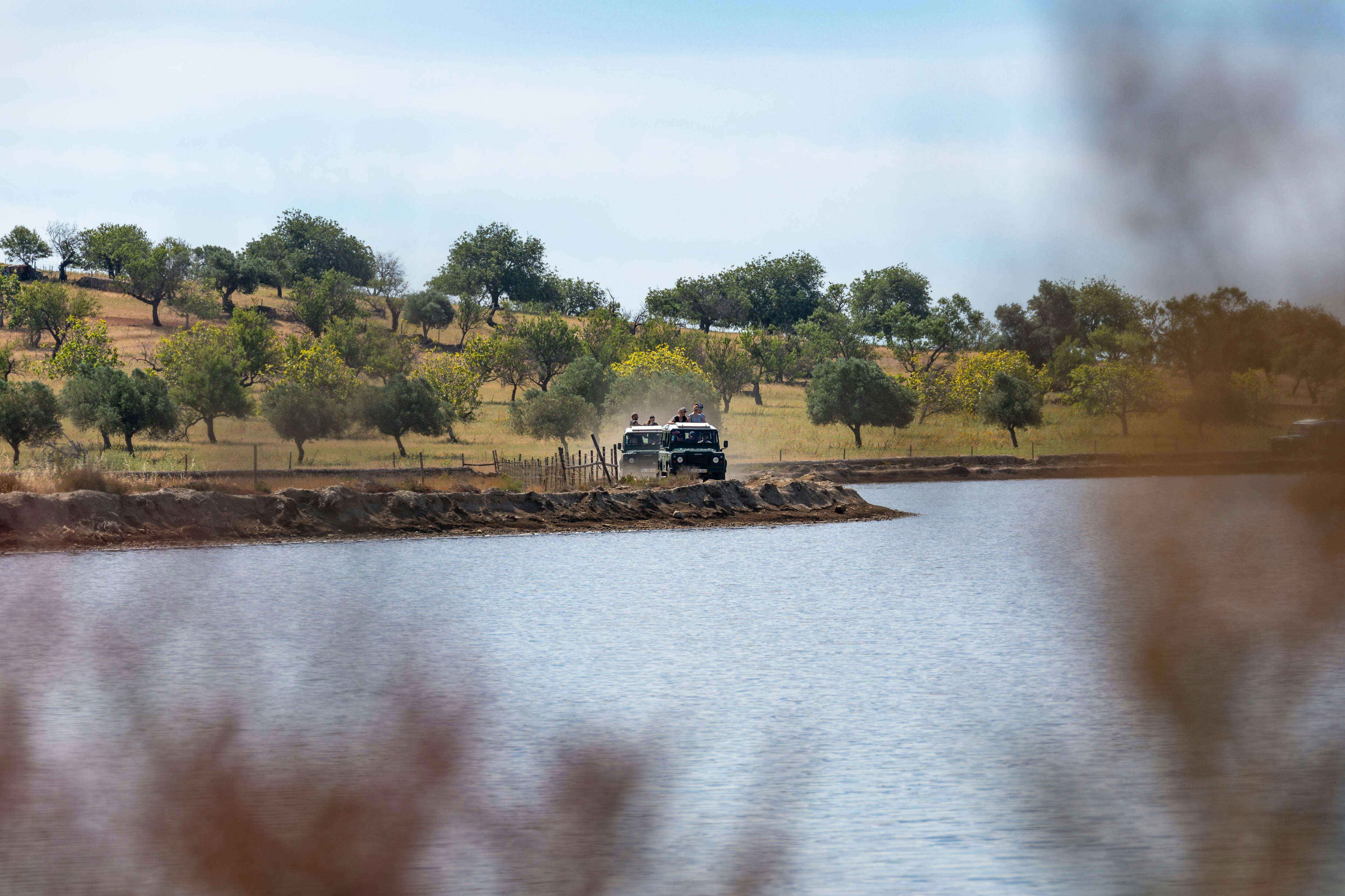 Guadiana Nature Safari Half-day Tour