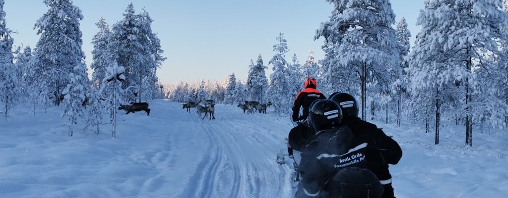 Snowmobiling com a combinação de renas e Husky