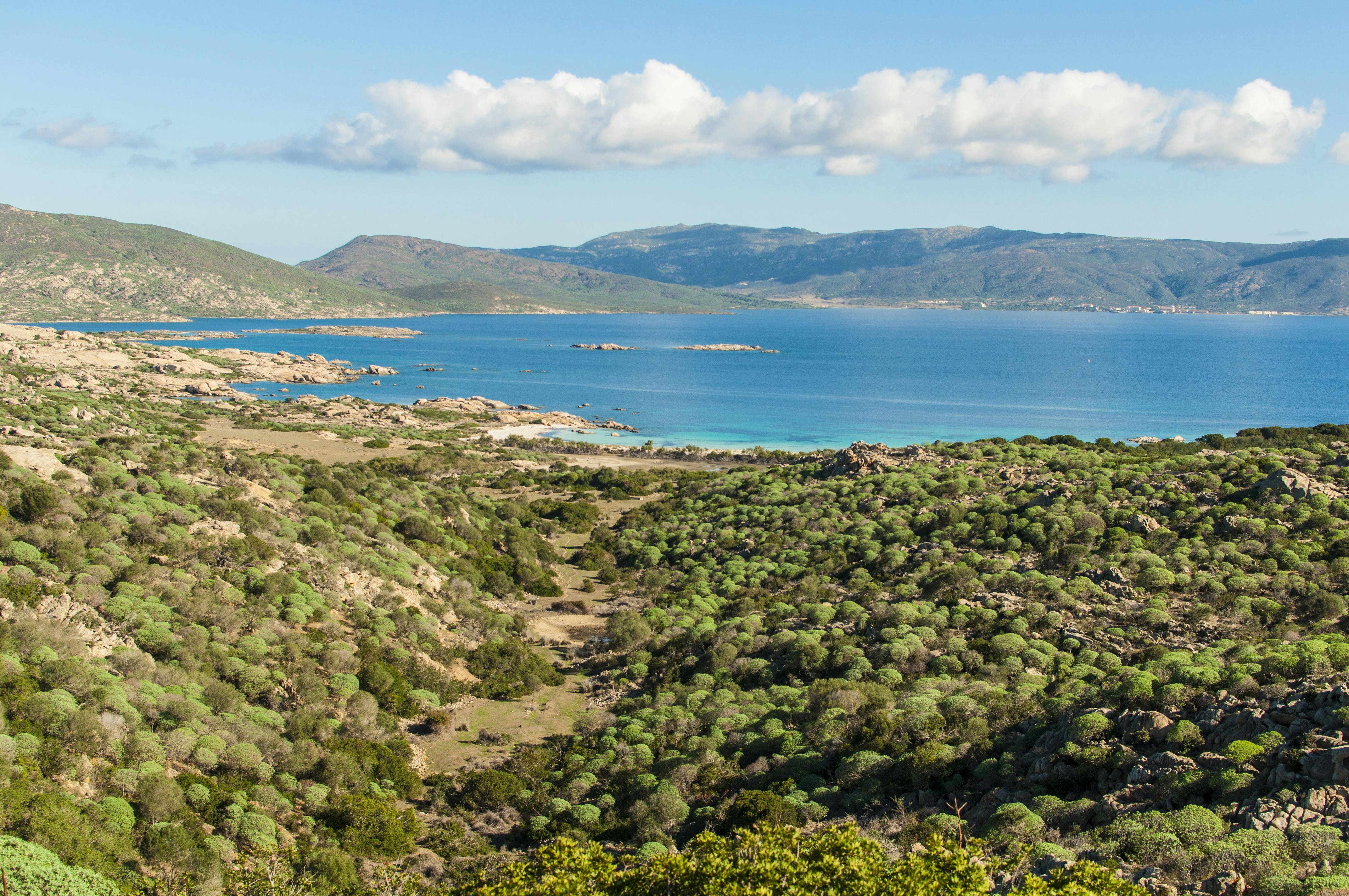 Visite d'une journée complète du parc national de l'Asinara