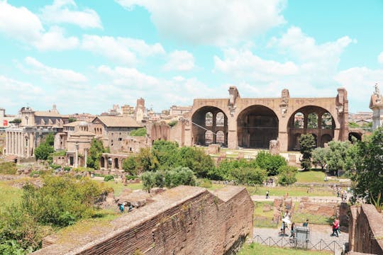 Tour privado al monte Palatino y al Foro Romano