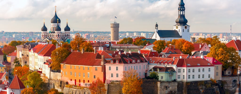 Croisière d'une journée à Tallinn au départ d'Helsinki