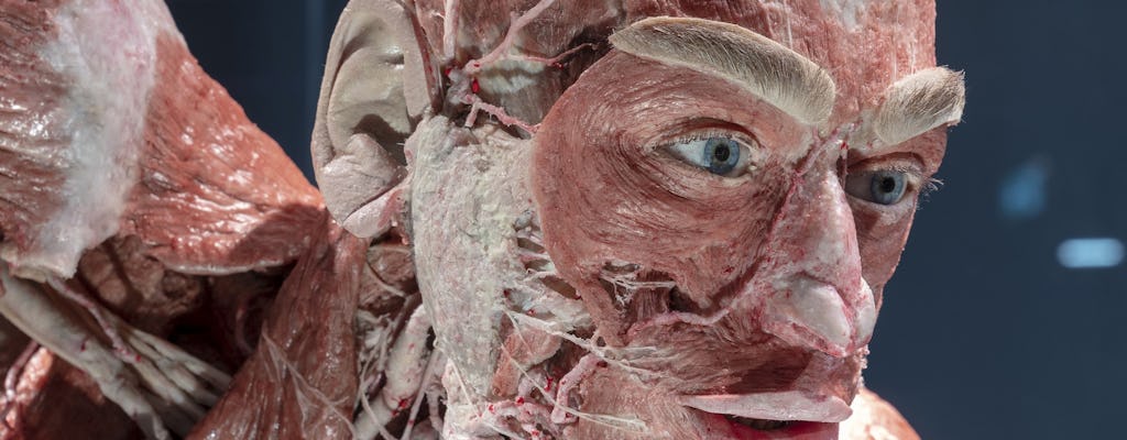 BODY WORLDS - Biglietti d'ingresso a Berlino