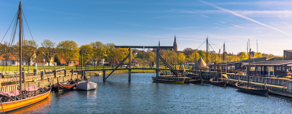 Tour privado à cidade Viking de Roskilde saindo de Copenhagen