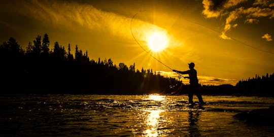 Aventura de pesca de día completo: aprende a pescar como una aleta
