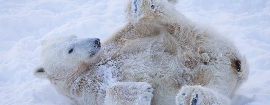 Excursion d'une journée au parc animalier de Ranua