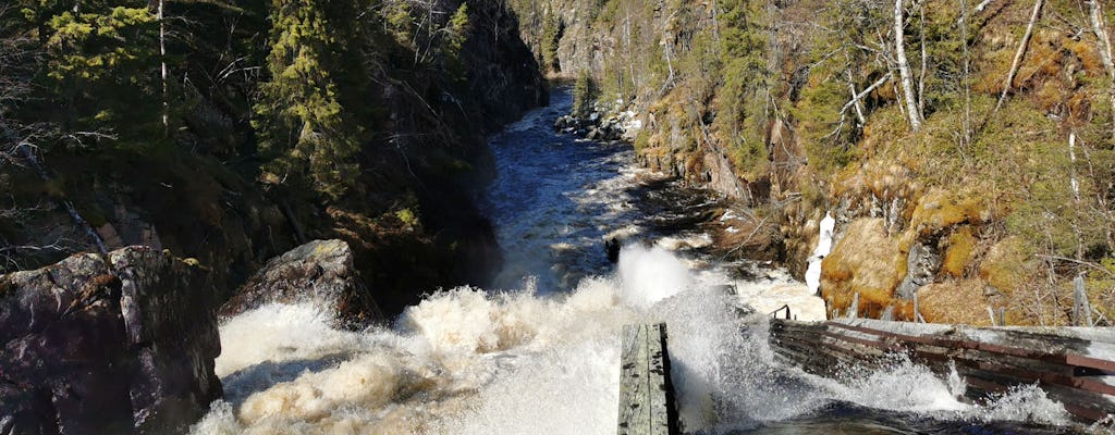 Dagtocht wandelen naar de Auttiköngäs-watervallen