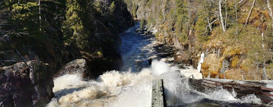 Dagtocht wandelen naar de Auttiköngäs-watervallen