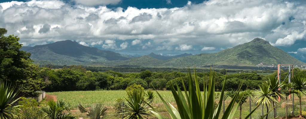 Mauritius Dolphin Observation-cruise en toegangsticket voor Casela Nature Parks