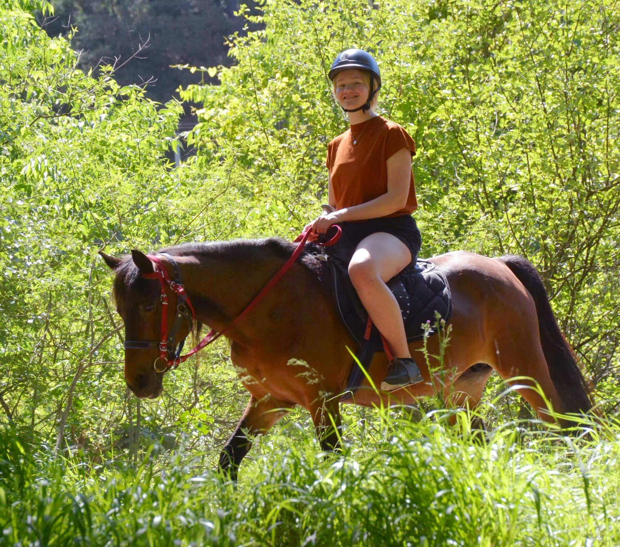 Marmaris Horse Riding Safari