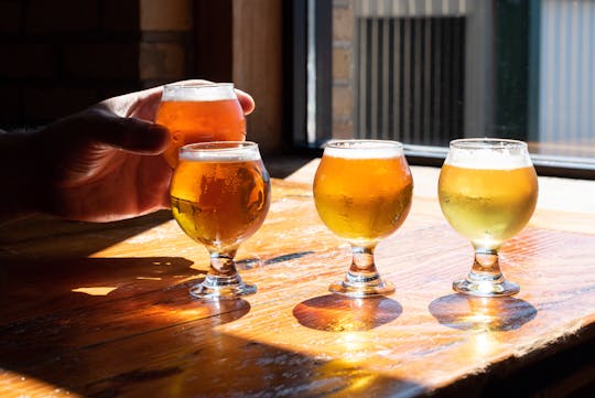 Tour de degustação de pub por Leuven