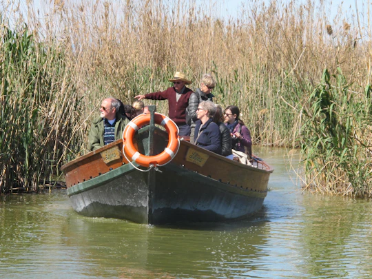 48-Hour Hop-On Hop-Off Bus Pass + Albufera Tour with Boat Ride