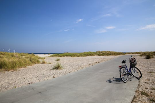 Self-guided tour all around Oresund