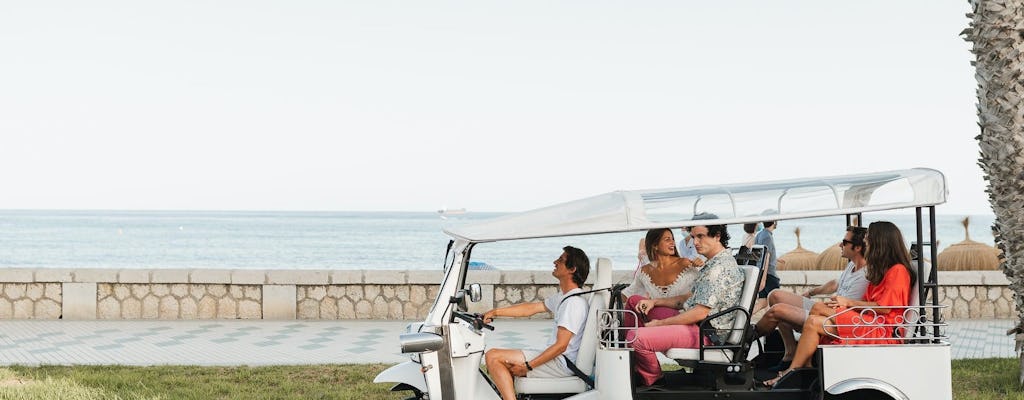 Tour elettrico in tuk tuk di Malaga