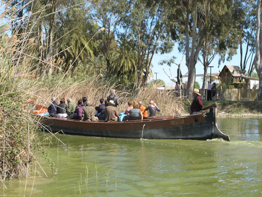 Valencia: Albufera natuurpark tour met boottocht en panoramabus