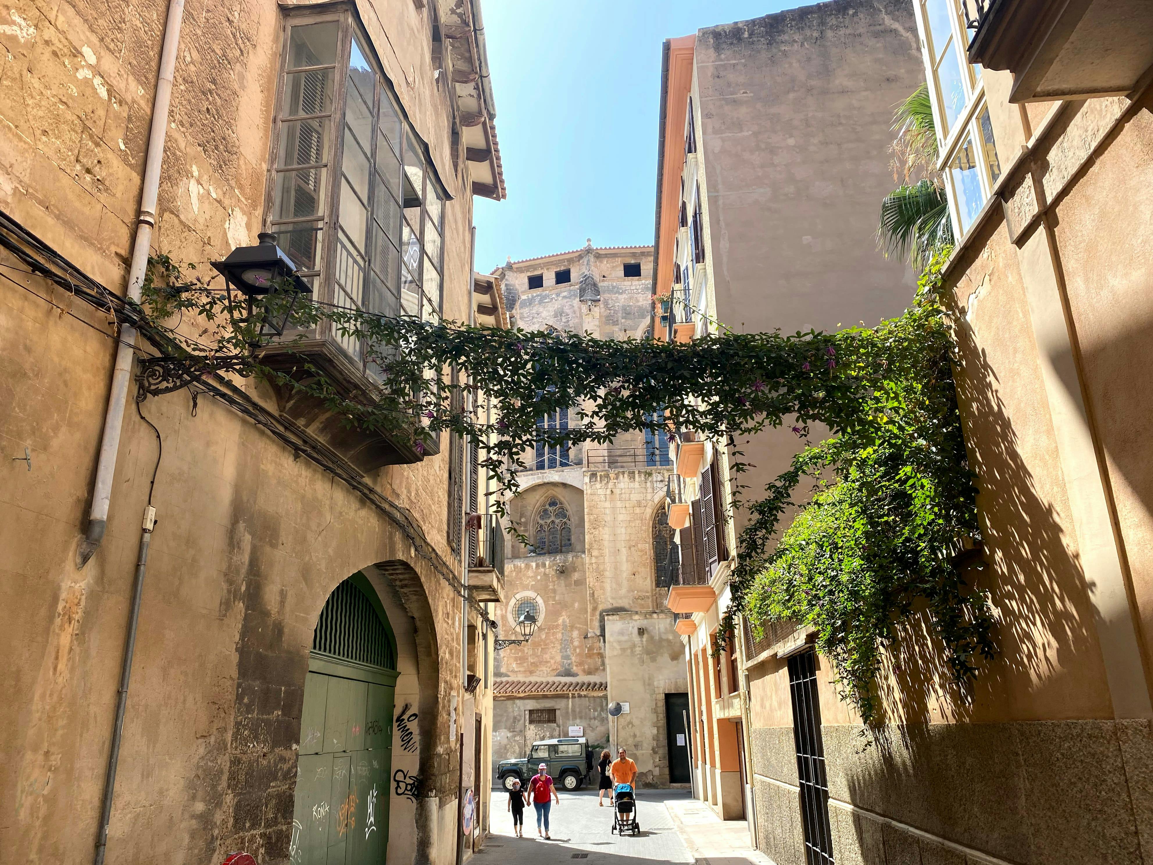 Private Palma de Mallorca Walking Tour and Local Tastings