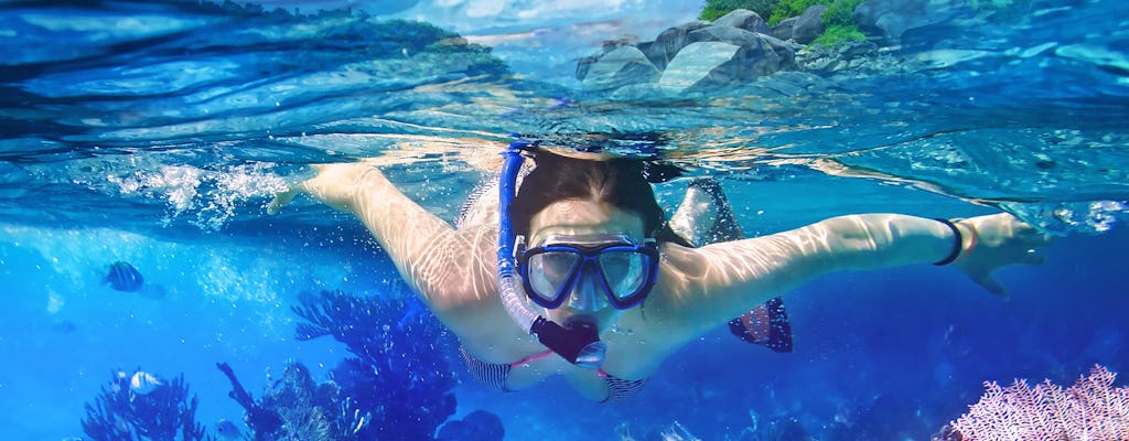 Guided snorkel tour with oceanographers