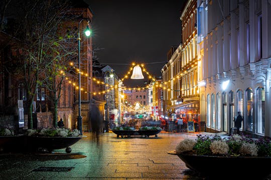 Paseo navideño privado de Oslo