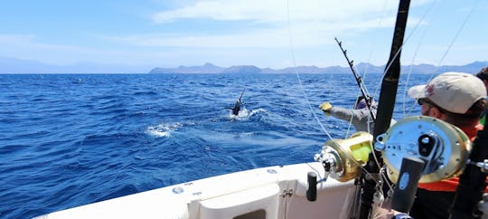 Private guided fishing trip from Hvar