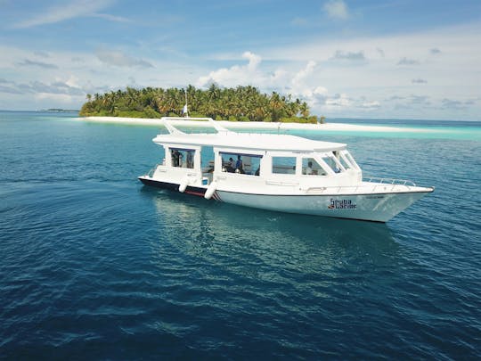 Открыть Пади воду водолаза с Riu Atoll и Риу Палас Мальдивы