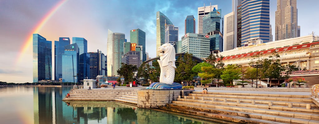 Private customizable Singapore Airport layover tour