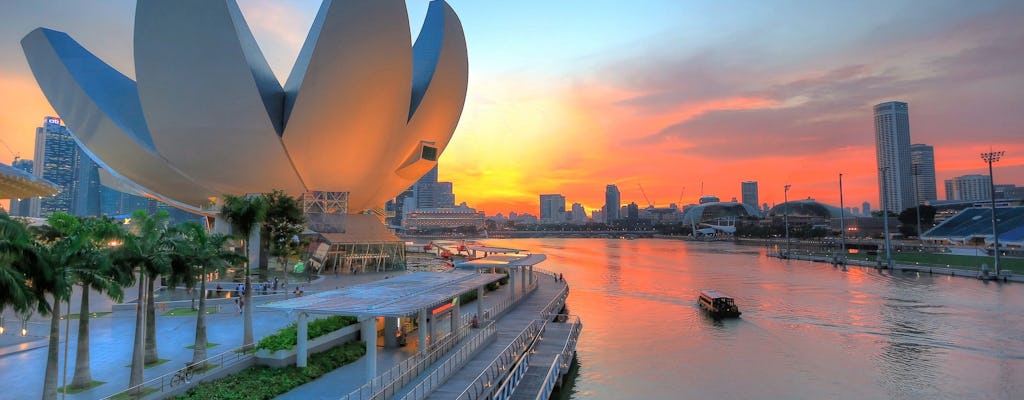 Tour privato di storia e cultura di Singapore con crociera sul fiume