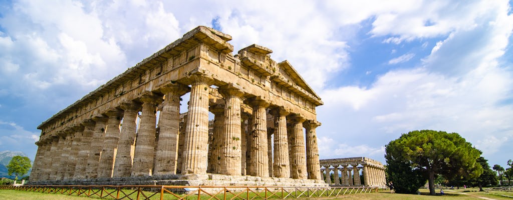 Tour of Paestum with visit to a local farm and pizza stop in Naples