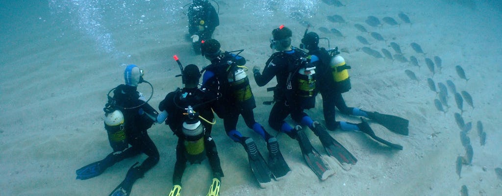 Scuba diving experience in Tarragona