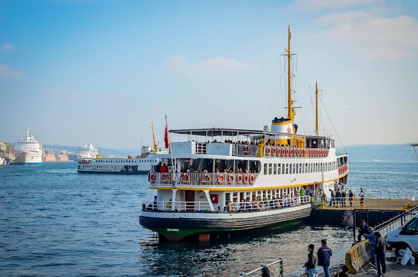 Das Beste von Istanbul: private Führung mit Bosporus-Kreuzfahrt