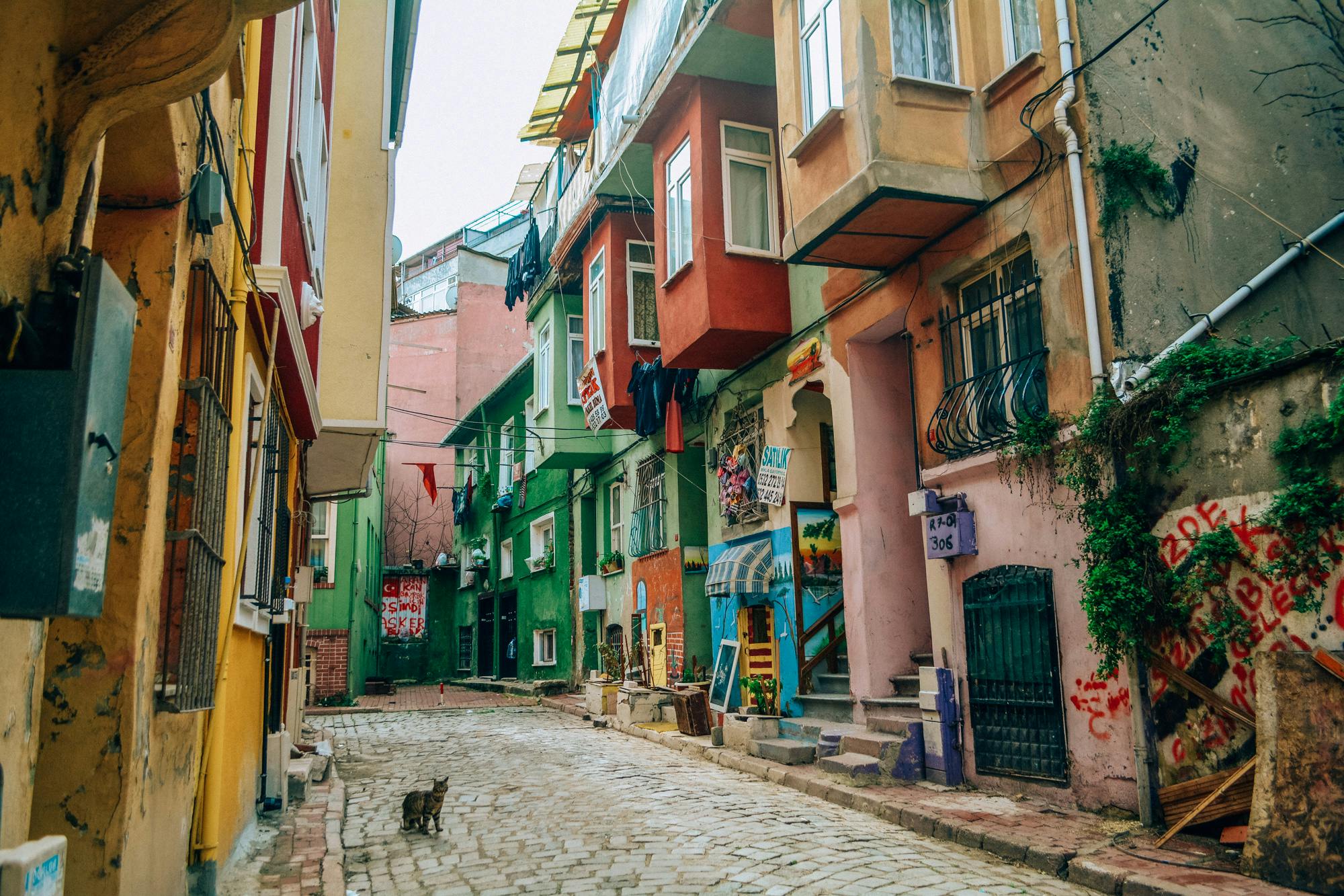 Best of Istanbul: prywatna wycieczka z przewodnikiem do Fener-Balat