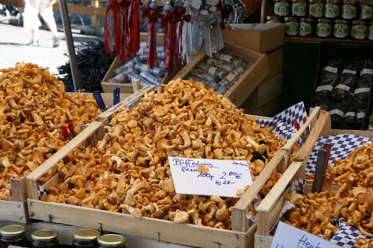 Bavarian food tour at Viktualienmarkt Munich