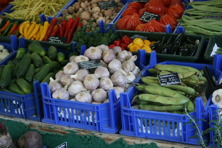 Bavarian food tour at Viktualienmarkt Munich