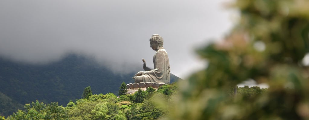 Full-day private Lantau Island tour with Ngong Ping Cable Car