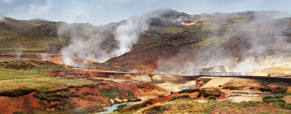 Excursion d'une journée dans la péninsule de Reykjanes et le Blue Lagoon