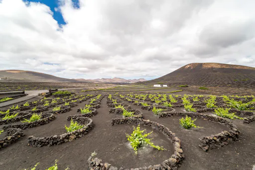 Lanzarote Trike Grand Tour