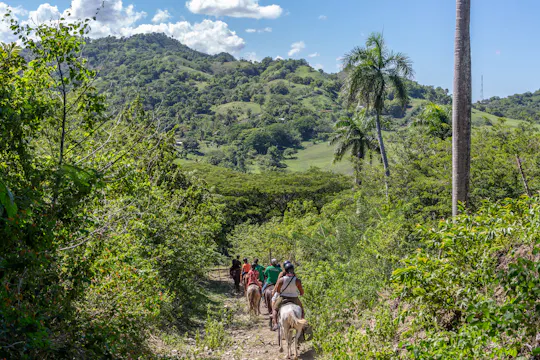 Dominican Mountain Horseback Ride