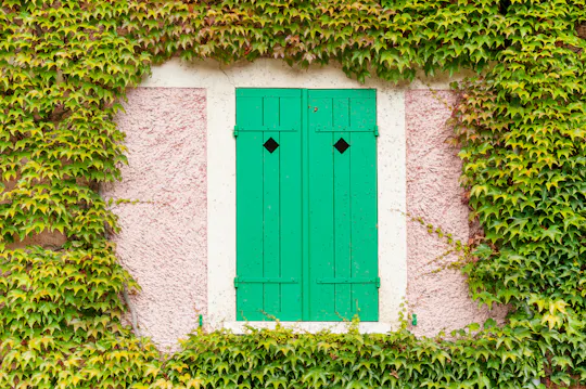 Excursão guiada de meio dia à Casa de Monet em Giverny, com partida de Paris