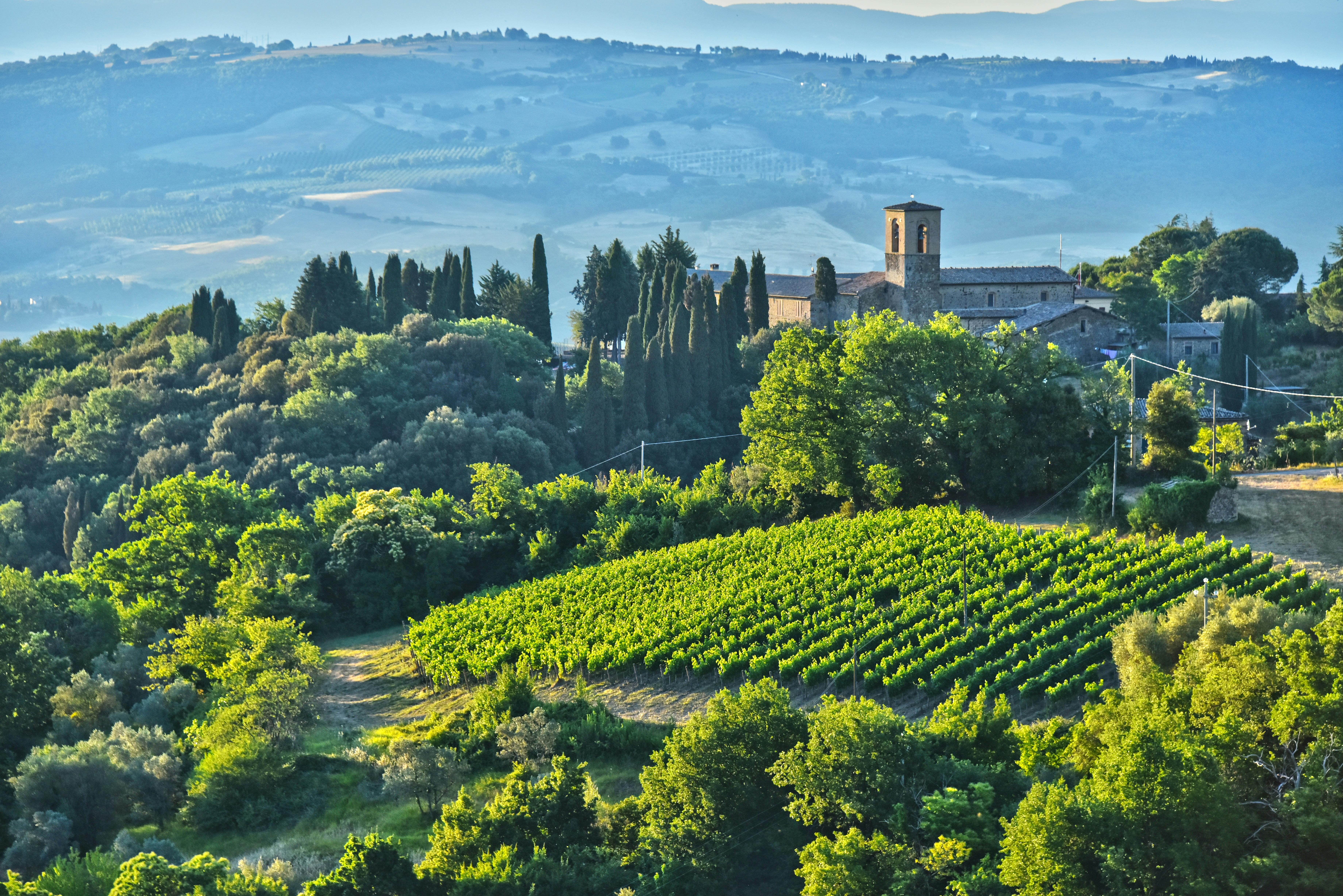 Brunello-Weinprobe und Mittagessen in einem toskanischen Schloss in Montalcino