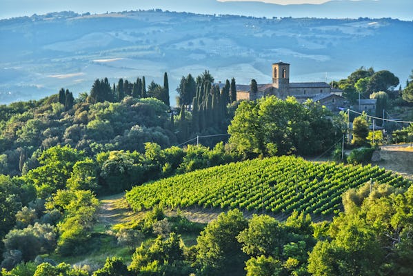 Degustação de vinhos Brunello e almoço em castelo toscano em Montalcino